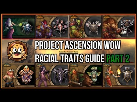 Conquest of Azeroth Best Race-Class Combos - Synergy Guide